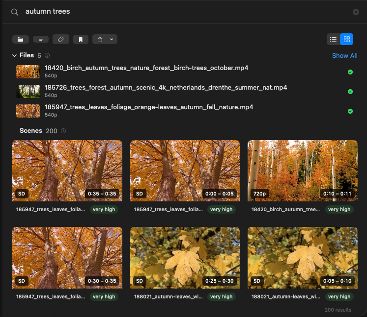 Files in Search